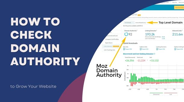 How to Check Domain Authority?
