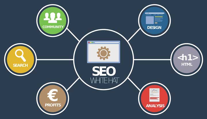 check SEO for my website